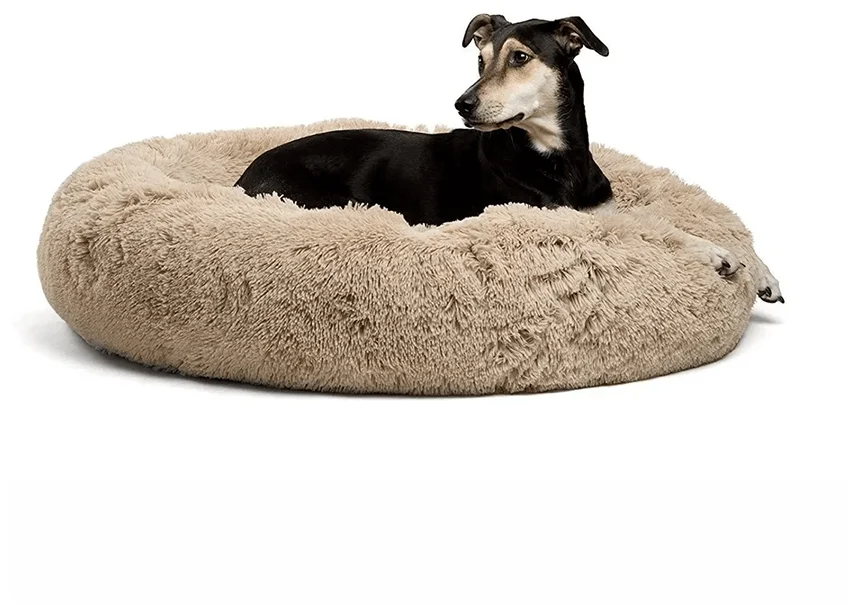 How AntiAnxiety Dog Beds Help Pets in Fighting Stress?