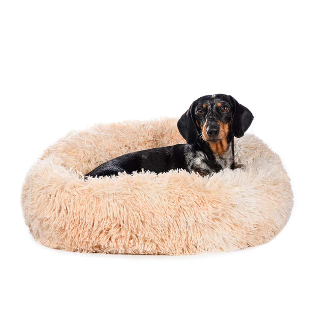 5 Benefits of Calming Dog Beds for You and Your Pets