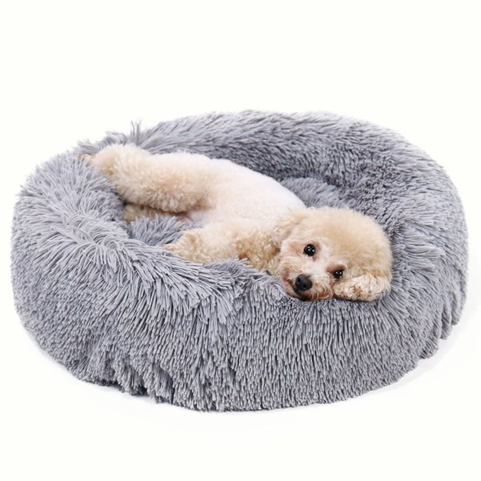 How to Clean Your Calming Dog Bed for Maintaining Hygiene