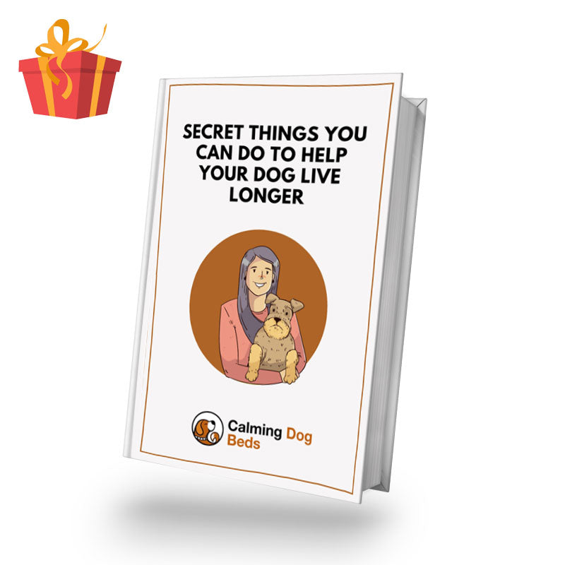 Official Calming Donut Dog Bed UK Anti Anxiety Bed